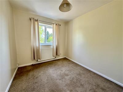 Picture 20